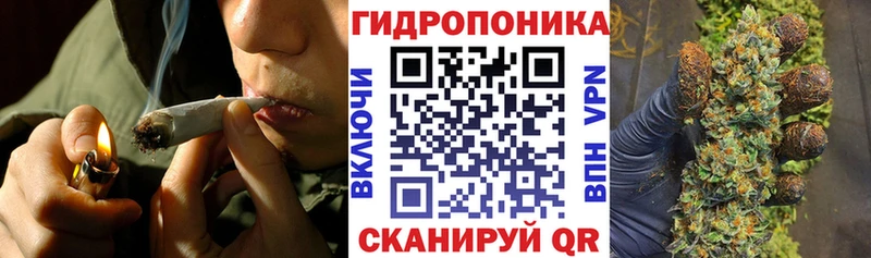 Как найти наркотики Жирновск Псилоцибиновые грибы  Меф  Гашиш  СК 