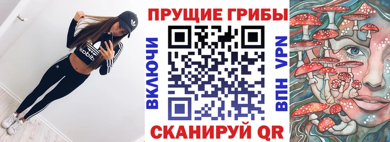 Галлюциногенные грибы MAGIC MUSHROOMS блэк спрут tor Жирновск